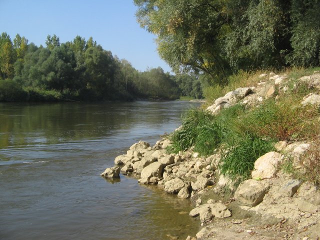 finnek 2011 013